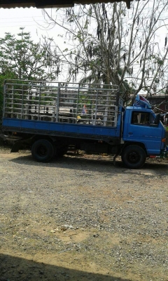 ขายรถ6ล้อ NPR115แรง ยาว4.30เมตร เครื่องดีแคชซีสวย ยางดี ภายในสวย พร้อมใช้ พร้อมโอน สนใจโทร 090-8588220คุณนะ 093-3258446คุณบิว หรือเข้าดูสินค้าอื่นๆได้ที่ www.truck.in.th/498 หรือเพจFacebook ณรงค์ ซื้อขายรถมือสอง (เว็บไซต์ส่วนตัว) หรือFacebook คุณนะ รถบรรท