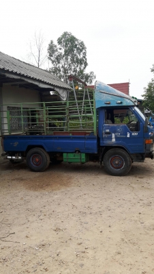 Toyota ไดนาBU61 เพารอยเครื่อง11B ยางดี4เส้นเครื่องดีคัชซีสวย เอกสารครบพร้อมโอน