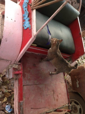 ที่นั่งสามล้อ