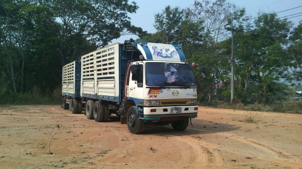 ขายรถพ่วง 20 ล้อ แม่-ลูก กระบะเหล็กคอกเกษตรไม่ดั้ม HINO FN1M วางเครื่อง.P11C-320 แรง ราคา.1200000 สนใจรีบจองด่วน