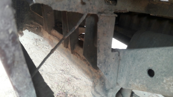 มังกรหัวเดียว ถูกจัด