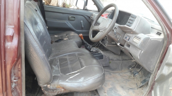 มังกรหัวเดียว ถูกจัด