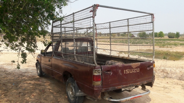 มังกรหัวเดียว ถูกจัด