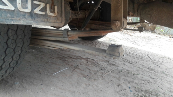 มังกรหัวเดียว ถูกจัด