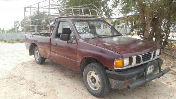 มังกรหัวเดียว ถูกจัด