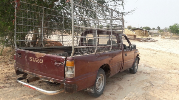 มังกรหัวเดียว ถูกจัด