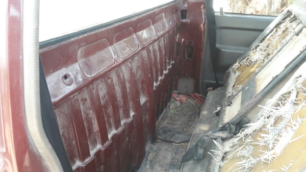 มังกรหัวเดียว ถูกจัด