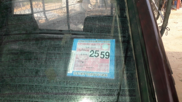 มังกรหัวเดียว ถูกจัด