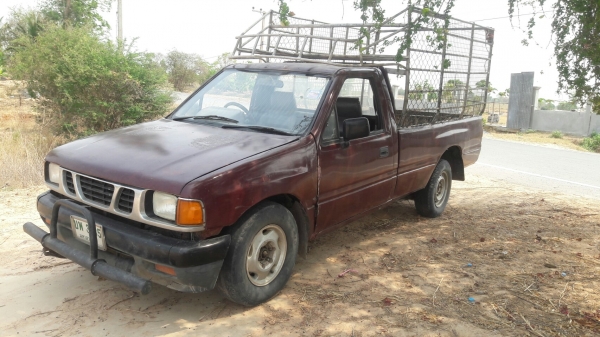 มังกรหัวเดียว ถูกจัด