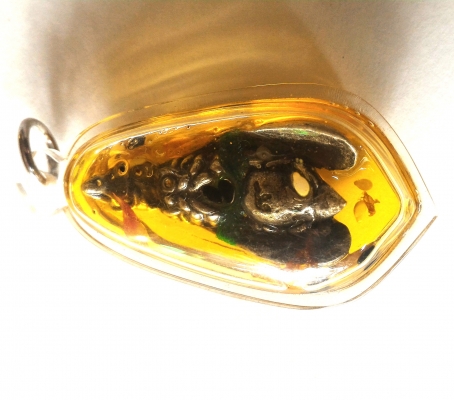 ต่อเงินเรียกทรัพย์ หลวงปู่ขุ้ย วัดซับตะเคียน เลี่ยมน้ำมันมหานิยมเจริญงอกงาม