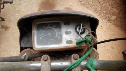 ชิปปี้ ชิปปี้