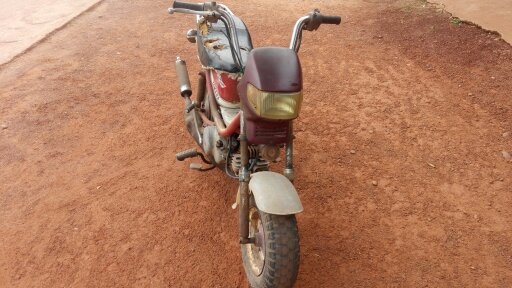 ชิปปี้ ชิปปี้