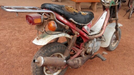 ชิปปี้ ชิปปี้