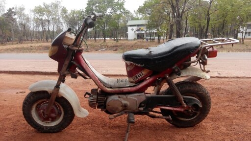 ชิปปี้ ชิปปี้