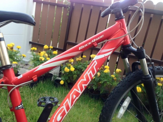 Giant Rock 4500 สีแดง Size 14" Giant Rock 4500 สีแดง Size 14"