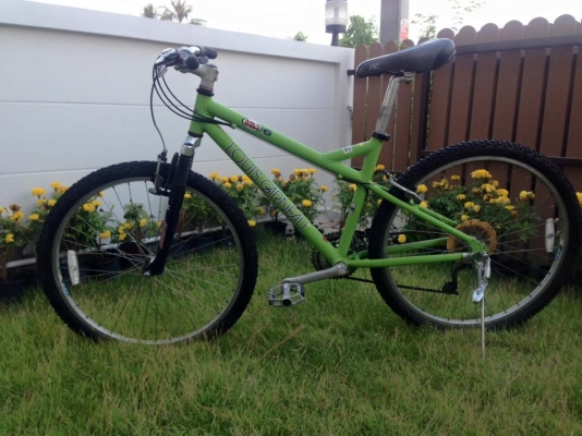 louis Garneau สีเขียว size 15"