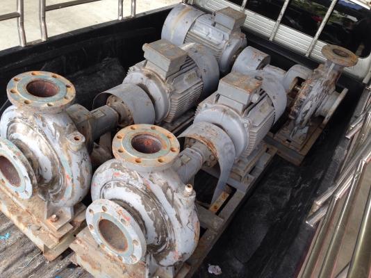 ( เหลือ 2 ตัวครับ )ขายปั้มน้ำหอยโข่ง Ebara ขนาดเข้า 5นิ้ว ออก 4นิ้ว ใบพัดทองเหลือง พร้อมมอเตอร์ 25HP. 380V สภาพดีเดิมๆ พร้อมใช้งาน มี 3ชุด ตัดออกจากโรงงาน ขายถูกครับ ( เหลือ 2 ตัวครับ )ขายปั้มน้ำหอยโข่ง Ebara ขนาดเข้า 5นิ้ว ออก 4นิ้ว ใบพัดทองเหลือง พร้อมมอเตอร์ 25HP. 380V สภาพดีเดิมๆ พร้อมใช้งาน มี 3ชุด ตัดออกจากโรงงาน ขายถูกครับ