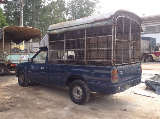 ขาย ISUZU มังกรทอง ปี 94