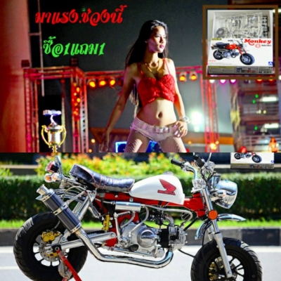 #จัดโปโมชั่นใหม่ลดราคาสุดๆ.รถต้นแบบ MSX มังกี้ กอลิล่า แต่ง มี100 แบบให้เลือก ราคาเริ่มต้น.......