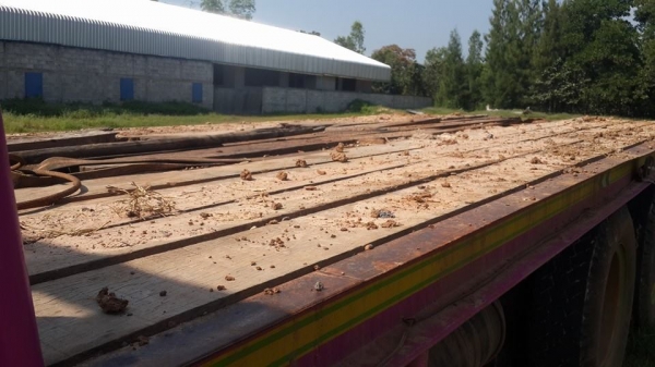 ขายรถ10ล้อ2เพลา เครื่อง165 6d14 ลาก200แชชซีดี สโลว์กลาง พร้อมใช้งาน