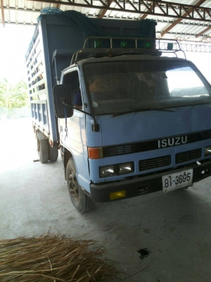 Isuzu115ดั้มพ์เกษตรfหน้าและหลังทะเบียนพร้อมโอนภาษีไม่ขาดคัสซีสวยยางดีน่าใช้