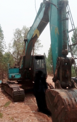 KOBELCO MARK // SK 200 ซีเรียล YN-4390 รถบอดี้สวย เครื่องยนต์เดิมๆปั๊ม K3V ภายในเก๋งสภาพดี มีระบบแอร์ครบพร้อม ช่วงล่างชุดโซ่โรลเลอร์และใบแทรกใช้งานไม่ได้หนึ่งข้างแต่อุปกรณ์ยังเหลือใก้ครบพร้ิมครับ เฟรมมีผุบ้างทั้งสองข้างนะครับยังสามารถใช้งานได้ครับ เครื่อง