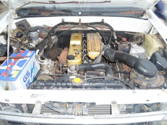 มังกรหัวคัสซี 52000 0882668605 มังกรหัวคัสซี 52000 0882668605