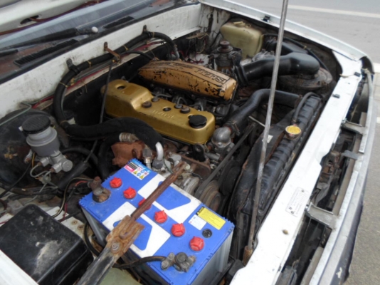 มังกรหัวคัสซี 52000 0882668605 มังกรหัวคัสซี 52000 0882668605