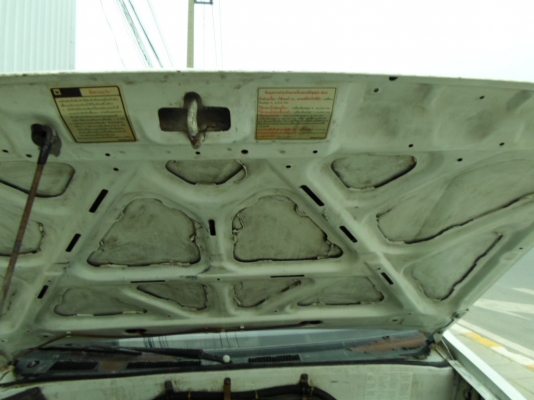 มังกรหัวคัสซี 52000 0882668605 มังกรหัวคัสซี 52000 0882668605