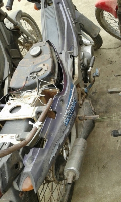 เหมาคู่อากีร่า