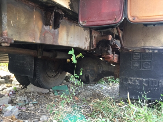 (รถ40ปีเดิมๆ)..6ล้อ หัว-คัสซี..Fหน้าFหลัง..85แรง ไดฮัทสุ(ISUZU) เครื่อง4BC2-159124 ปี2519..เล่มทะเบียนพร้อม ชุดโอน