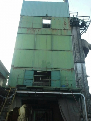 แพล้นยาง