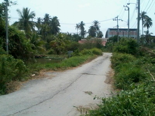 ขายที่ดิน พระราม2 ซอย25   300ตรว