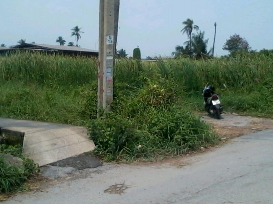 ขายที่ดิน พระราม2 ซอย25   300ตรว