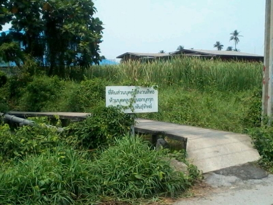 ขายที่ดิน พระราม2 ซอย25   300ตรว