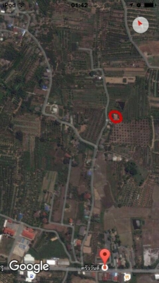 ขายบ้านเดี่ยวพร้อมที่ดิน281ตรว.