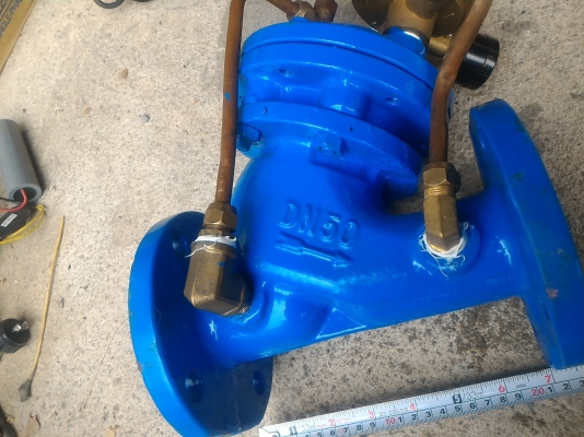 ประตูน้ำแบบทำงานทางเดียวด้วยระบบแรงดันของน้ำ ช่วยให้ควบคุมน้ำได้ง่าย