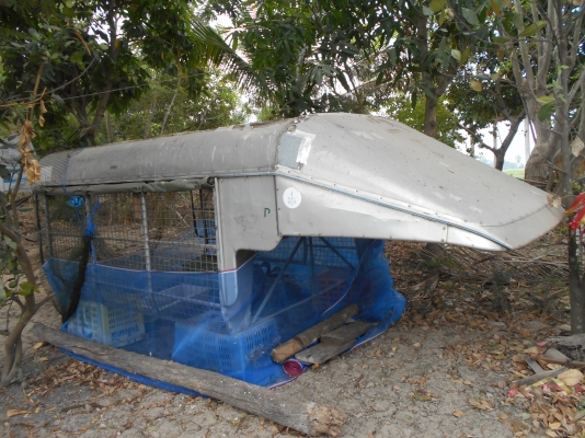 ขายลังคาใส่บิกเอมแคบสภาพดีเล็กแป๊บสติมทั้งลูกสภาพดีไม่พุสนจัย 0810074646 ครับ