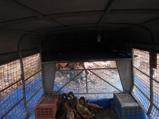 ขายลังคาใส่บิกเอมแคบสภาพดีเล็กแป๊บสติมทั้งลูกสภาพดีไม่พุสนจัย 0810074646 ครับ