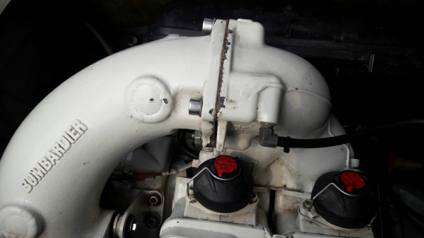 ขายเจสกี