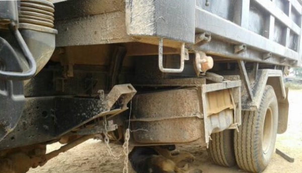 ISUZU ROCKY 195 HP 6HE1 หกล้อดั๊มพ์ กระบะดั๊มพ์เหล็ก 5 ตันความยาว 3.60 เมตรสภาพดีพร้อมใช้งานได้เลยครับ เครื่องยนต์แรงดีแห้งดีไม่มีแตกเยิ้ม ภายในเก๋งสะอาดคอนโซลครบพร้อม พวงมาลัยเพาเวอร์ ระบบเบรคทริ๊ปฟี้ครบครัน ช่วงล่างแน่นดีคัชซีไม่บวม ยาง 8.25 ขอบ 16 สภาพ ISUZU ROCKY 195 HP 6HE1 หกล้อดั๊มพ์ กระบะดั๊มพ์เหล็ก 5 ตันความยาว 3.60 เมตรสภาพดีพร้อมใช้งานได้เลยครับ เครื่องยนต์แรงดีแห้งดีไม่มีแตกเยิ้ม ภายในเก๋งสะอาดคอนโซลครบพร้อม พวงมาลัยเพาเวอร์ ระบบเบรคทริ๊ปฟี้ครบครัน ช่วงล่างแน่นดีคัชซีไม่บวม ยาง 8.25 ขอบ 16 สภาพ