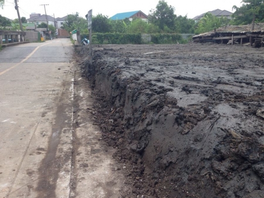 &ldquo; ที่ดินทำเลสวย สำหรับทุกกิจการ &rdquo; โซนกรุงเทพฯตะวันออก อาทิ คันนายาว บึงกุ่ม มีนบุรี และคลองสามวาฯลฯ ทำเลดี ราคาโดนใจ  ติดต่อ.วงศพัทธ์ 081-260-1578