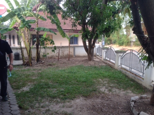 จองแล้วรออนุมัติอยู่ค่ะ ขายบ้านชั้นเดียว57ตรวเมืองเชียงใหม่แม่เหียะคลองชลติดถนน จองแล้วรออนุมัติอยู่ค่ะ ขายบ้านชั้นเดียว57ตรวเมืองเชียงใหม่แม่เหียะคลองชลติดถนน