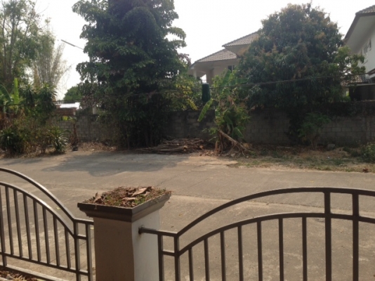 จองแล้วรออนุมัติอยู่ค่ะ ขายบ้านชั้นเดียว57ตรวเมืองเชียงใหม่แม่เหียะคลองชลติดถนน จองแล้วรออนุมัติอยู่ค่ะ ขายบ้านชั้นเดียว57ตรวเมืองเชียงใหม่แม่เหียะคลองชลติดถนน