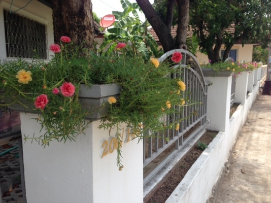 จองแล้วรออนุมัติอยู่ค่ะ ขายบ้านชั้นเดียว57ตรวเมืองเชียงใหม่แม่เหียะคลองชลติดถนน จองแล้วรออนุมัติอยู่ค่ะ ขายบ้านชั้นเดียว57ตรวเมืองเชียงใหม่แม่เหียะคลองชลติดถนน