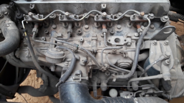 NPR  120 แรง  ปี 40 ยาว 5 เมตร  (รถห้างแท้.สียังไม่เคยทำ .เจ้าของขับเอง) ...  ราคา  450,000 บาท