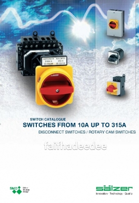 อุปกรณ์ พาสสวิทซ์ และ โวลท์แอมป์ Salzer