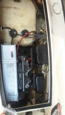 yamaha650 ปลาโอสวยๆ