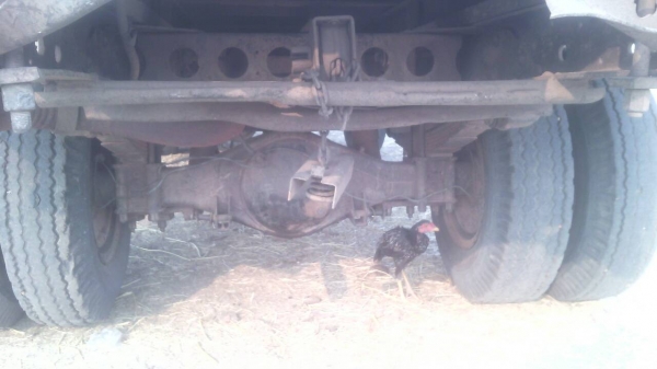 ขายisuzu npr115 พร้อมเครน 2.5 ตันสภาพพร้อมใช้เอกสารครบ