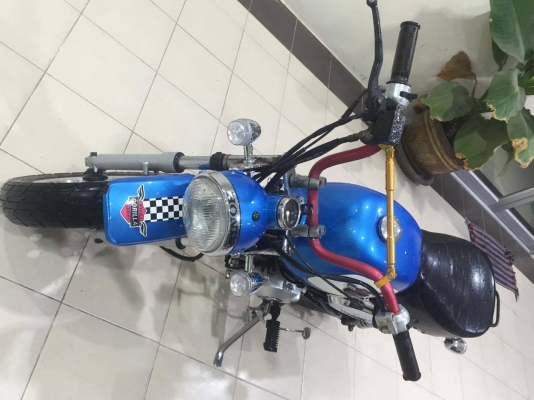 ขายกอลิล่า‬ แต่งนิดหน่อย